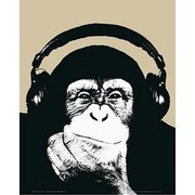 輸入ミニポスター MP270 STEEZ /monkee