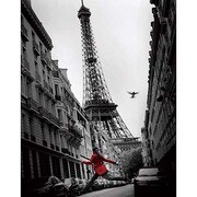 輸入ミニポスター MP315 LA VESTE ROUGE