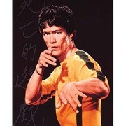 MP378 [輸入ミニポスター BRUCE LEE  Oriental]