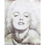 MP383 [輸入ミニポスター MARILYN MONROE  text]