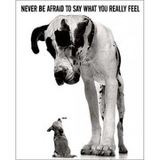 MP408 [輸入ミニポスター NEVER BE AFRAID TO SAY]