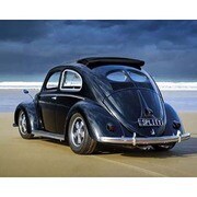 MP418 [輸入ミニポスター VW CALIFORNIAN  splitty]