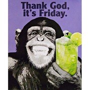 MP449 [輸入ミニポスター  THE CHIMP  Friday]