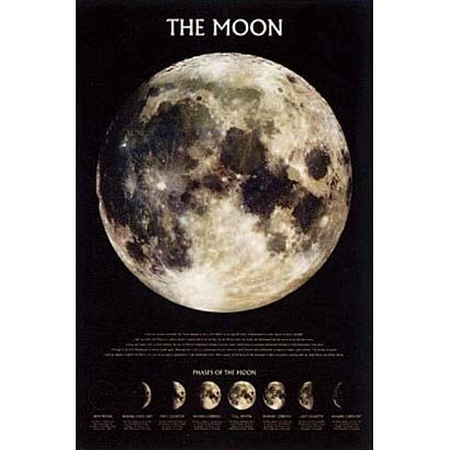 S1085 [Sイラストポスター MOON（OUTER SPACE）]