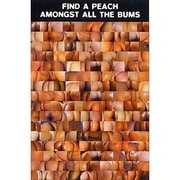 S1124 [Sイラストポスター FIND A PEACH AMONGST ALL THE BUMS]