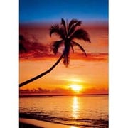 S1183 [ポスター SUNSET ＆ PALM TREE サンセットパーム]