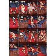 S1324 [Sイラストポスター BEDCAM]