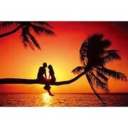 S1537 [Sイラストポスター SUMMER LOVE]
