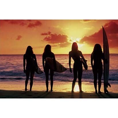S1581 [Sイラストポスター SURF BABES]