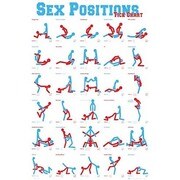 S1707 [Sイラストポスター SEX POSITIONS]