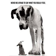 S1730 [Sイラストポスター Never Be Afraid To Say]