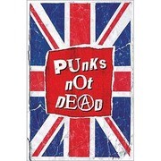 S1817 [Sイラストポスター PUNKS NOT DEAD]