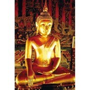 S1829 [Sイラストポスター BUDDHA]