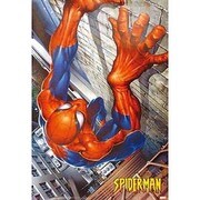 S2232 [Sシネマポスター SPIDERMAN -climbing]
