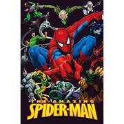 S2273 [Sシネマポスター THE AMAZING SPIDER-MAN]