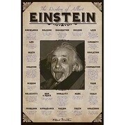 S2444 [Sシネマポスター ALBERT EINSTEIN Quotes]
