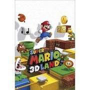 S2507 [Sシネマポスター NINTENDO mario 3d land]