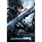 S2551 [Sシネマポスター METAL GEAR RISING]