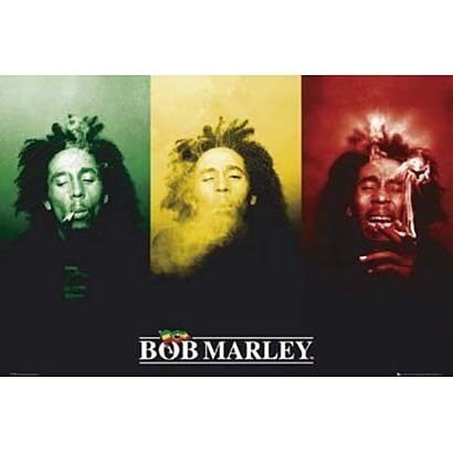 S3219 [ミュージシャンポスター BOB MARLEY flag]