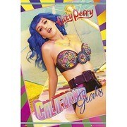 S3298 [ミュージシャンポスター KATY PERRY bravado]