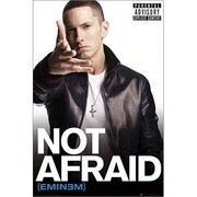 S3307 [ミュージシャンポスター EMINEM not afraid]