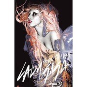 S3317 [ミュージシャンポスター LADY GAGA gunge orange hair bravado]