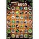S4027 [Sイラストポスター INSECTS and BUGS]