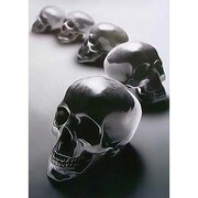 S4028 [Sイラストポスター ZEN SKULLS]