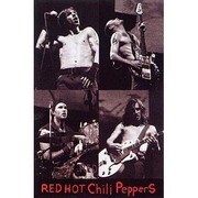 S971 [ミュージシャンポスター RED HOT CHILI PEPPERS （LIVE）]