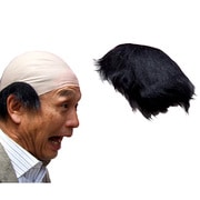 とれるヅラ