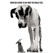M-397 [Never Be Afraid To Say]