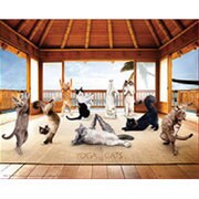 M-402 [Yoga Cats Hut]