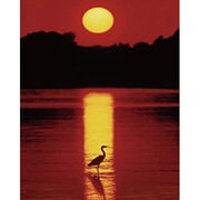 M-409 [Sunset in the Florida Keys]