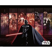 HESWMM-08 [2010 STAR WARS Anthology ミニポスター]
