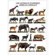 ポストカード African Animals (6-4) PHC1698