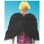 BLACK WING（LL）
