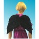 BLACK WING（M）