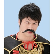 日本の偉人ヒゲ・武田信玄