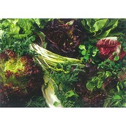 ポストカード Salat サラダ （8-1） PC82