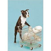 ポストカード Puppy shopping for Bone (20-3) AY214