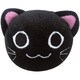 PT-HWY-1-5 [Helloween Pet Toy（ハロウィンペットトイ） 黒猫B]
