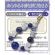 天然石屋さん 誕生石シリーズ 誕生石 9月 ラピスラズリ ストラップ