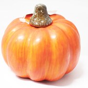 ハロウィン パンプキン オレンジ 0421033