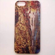 MINIOPAL CASE 10285 [iPhone5用 背面カバータイプ PR 風景プリント]