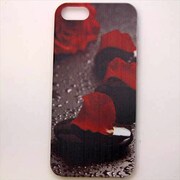 MINIOPAL CASE 00576 [iPhone5用 背面カバータイプ PR プリント]