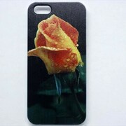 MINIOPAL CASE 01214 [iPhone5用 背面カバータイプ PR プリント花バラ]