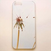 MINIOPAL CASE 01405 [iPhone5用 背面カバータイプ PR プリント花たんぽぽ]