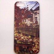 MINIOPAL CASE 02204 [iPhone5用 背面カバータイプ PR プリント建物]
