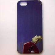 MINIOPAL CASE 12241 [iPhone5用 背面カバータイプ PR プリント空雲]
