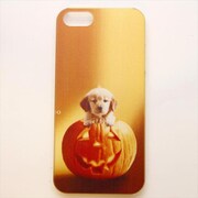 MINIOPAL CASE 13859 [iPhone5用 背面カバータイプ PR アニマルプリント犬]